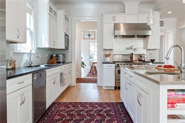 1601 Marlbrook Dr NE, Atlanta, GA 30307 - kitchen featuring range hood, stainless steel appliances, ornamental molding, a sink, and light wood-style floors