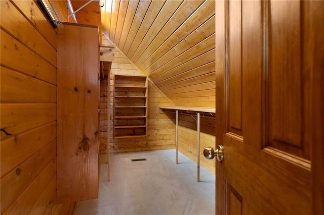 442 Cartecay River Run, Ellijay, GA 30536 - spacious closet with lofted ceiling and carpet flooring
