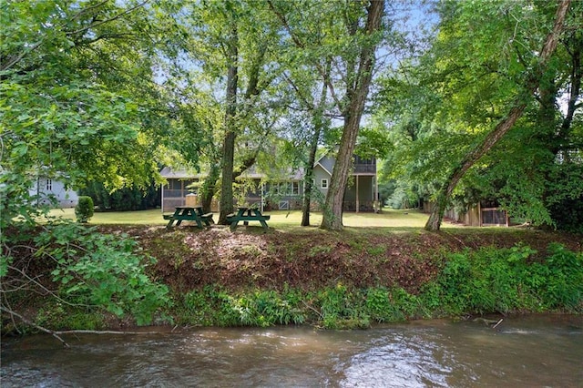 442 Cartecay River Run, Ellijay, GA 30536 - view of yard with a water view
