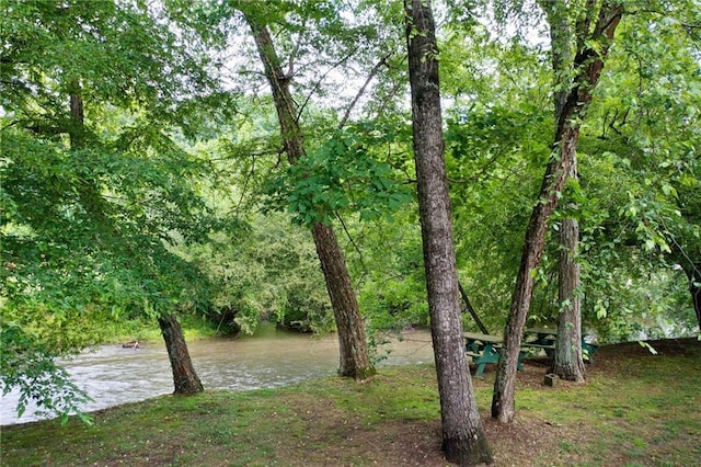 442 Cartecay River Run, Ellijay, GA 30536 - water view