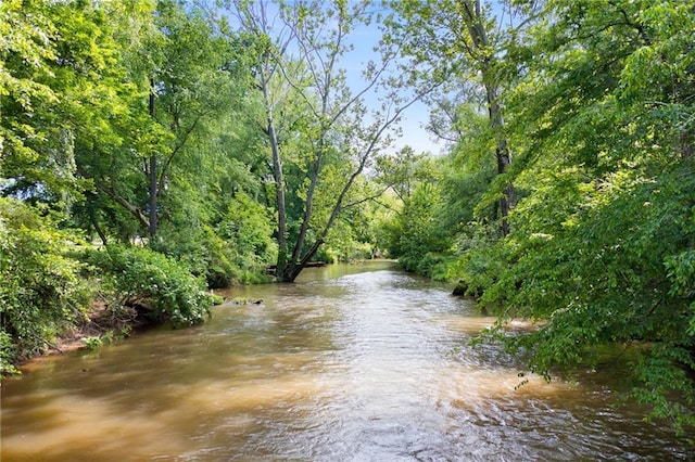 442 Cartecay River Run, Ellijay, GA 30536 - water view