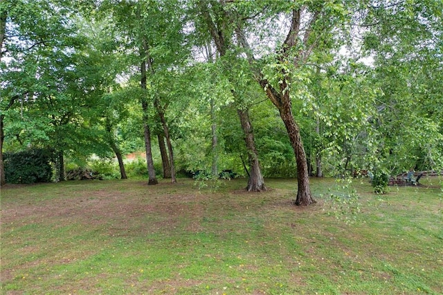 442 Cartecay River Run, Ellijay, GA 30536 - view of grassy yard