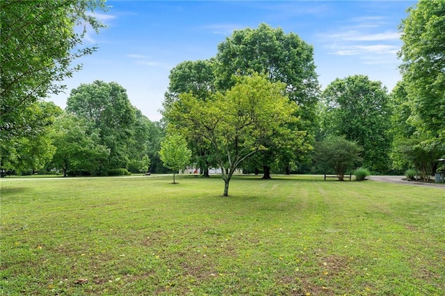 442 Cartecay River Run, Ellijay, GA 30536 - view of grassy yard