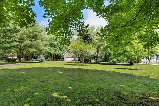 442 Cartecay River Run, Ellijay, GA 30536 - view of green lawn