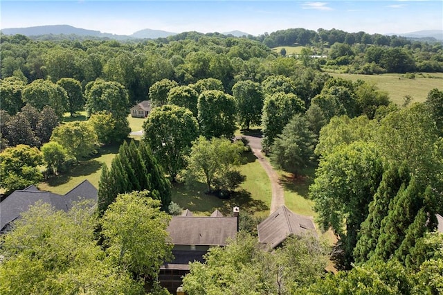 442 Cartecay River Run, Ellijay, GA 30536 - aerial overview of property's location featuring a mountain backdrop