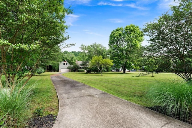 442 Cartecay River Run, Ellijay, GA 30536 - view of property's community with a lawn, a garage, and driveway