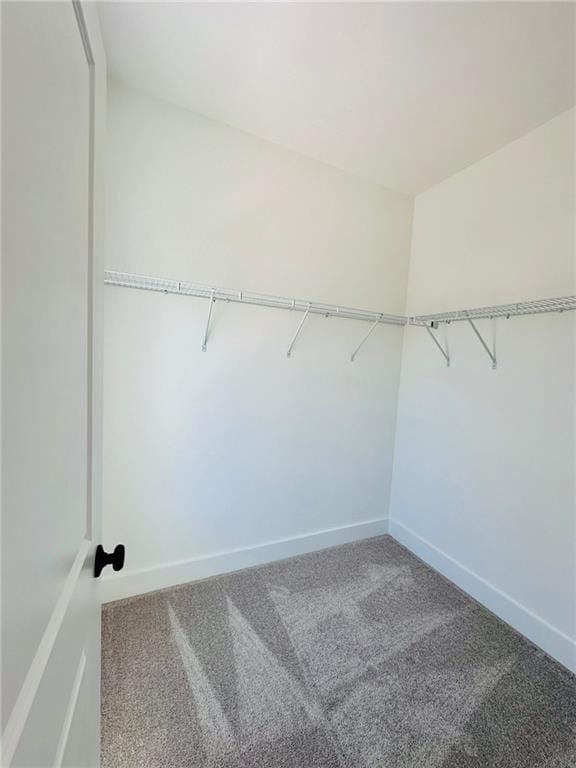 spacious closet with carpet flooring