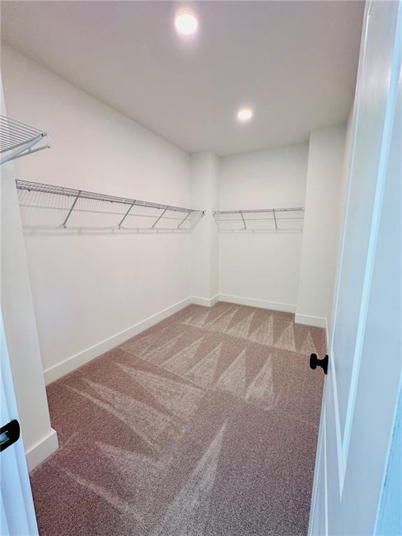 walk in closet with carpet flooring