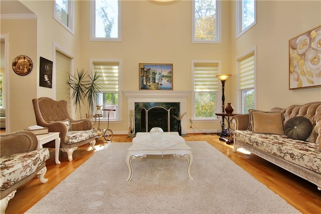 living room with light hardwood / wood-style flooring, crown molding, a fireplace, and a healthy amount of sunlight