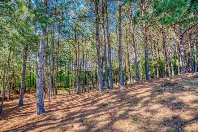 1015 Carriage Way, Loganville, GA 30052 - view of tree filled area