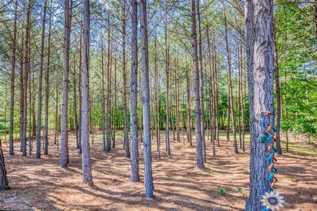1015 Carriage Way, Loganville, GA 30052 - view of woods