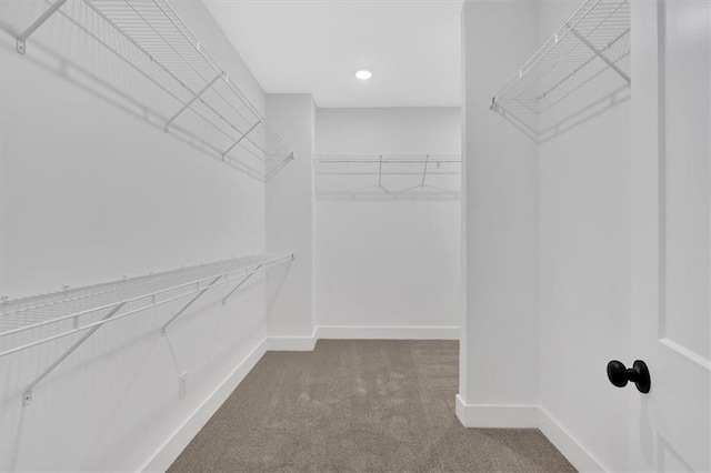 spacious closet with carpet floors