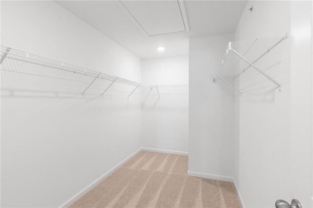 1119 Lockhart Way, Douglasville, GA 30135 - spacious closet with attic access and light carpet