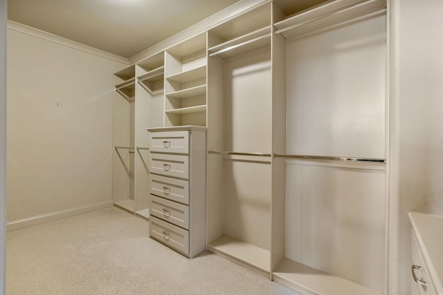 2742 High Vista Pt, Gainesville, GA 30501 - walk in closet featuring light colored carpet
