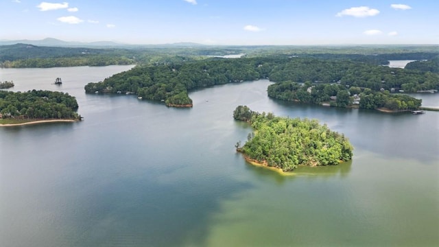 2742 High Vista Pt, Gainesville, GA 30501 - bird's eye view of a water and mountain view and a forest
