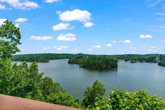2742 High Vista Pt, Gainesville, GA 30501 - water view featuring a heavily wooded area