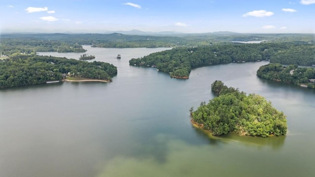 2742 High Vista Pt, Gainesville, GA 30501 - bird's eye view of a forest and a large body of water