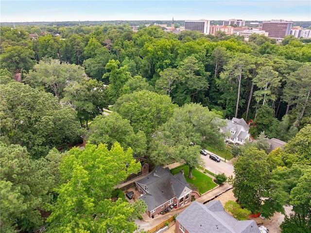 311 Glendale Ave, Decatur, GA 30030 - bird's eye view of a forest