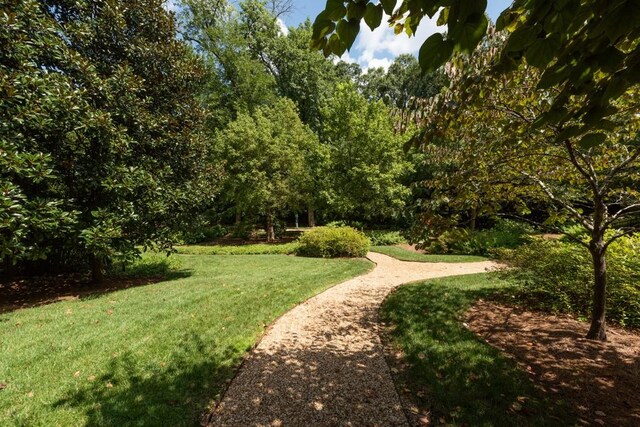 view of property's community featuring a lawn