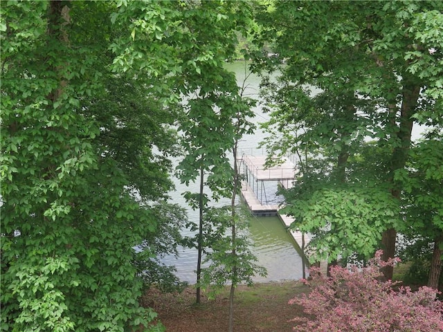 4039 Sargent Cir, Gainesville, GA 30506 - view of side of property featuring a boat dock