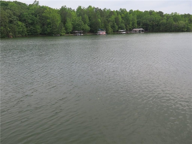 4039 Sargent Cir, Gainesville, GA 30506 - water view with a heavily wooded area