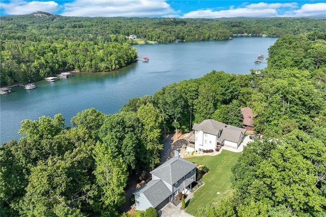4039 Sargent Cir, Gainesville, GA 30506 - aerial view of property and surrounding area with a heavily wooded area and a nearby body of water