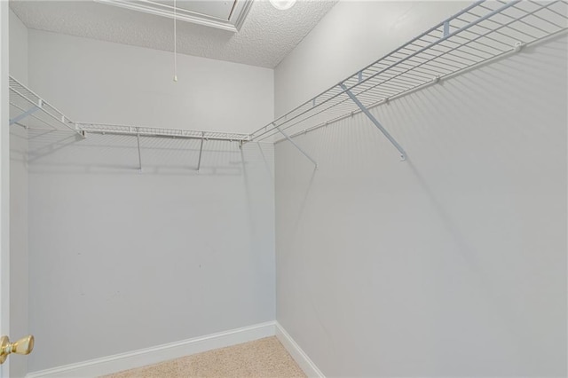 4039 Sargent Cir, Gainesville, GA 30506 - spacious closet featuring attic access