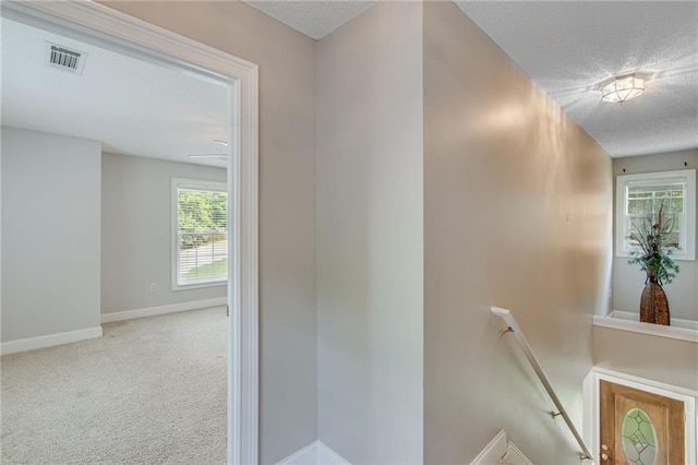 4039 Sargent Cir, Gainesville, GA 30506 - staircase with a textured ceiling, baseboards, and carpet
