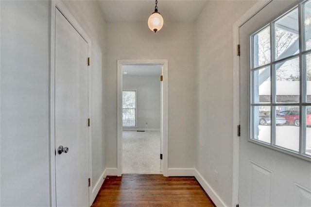 doorway to outside with baseboards and dark wood-style flooring