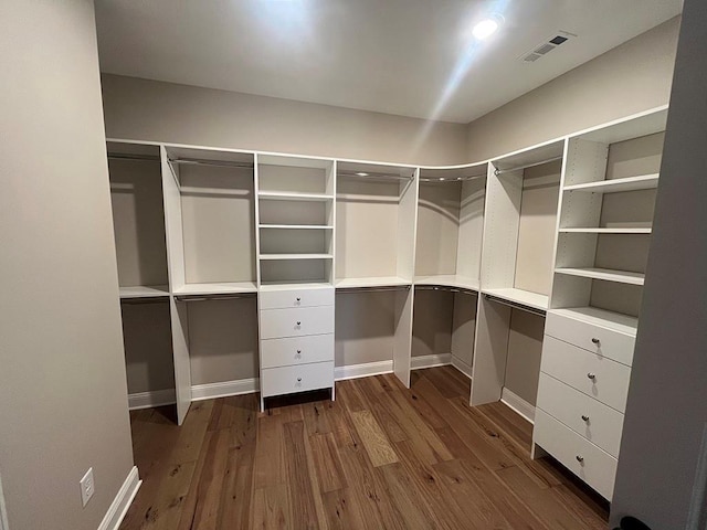 walk in closet featuring dark wood-style floors