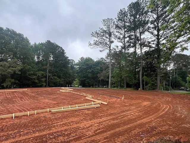 2226 Upper Burris Rd, Canton, GA 30114 - view of yard featuring a wooded view
