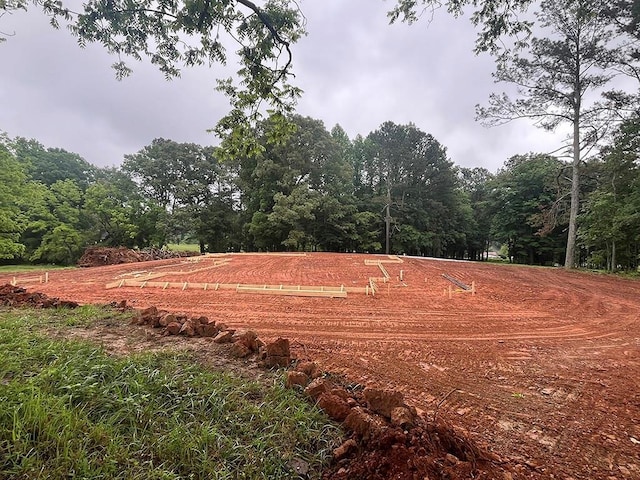 2226 Upper Burris Rd, Canton, GA 30114 - view of yard with a view of trees