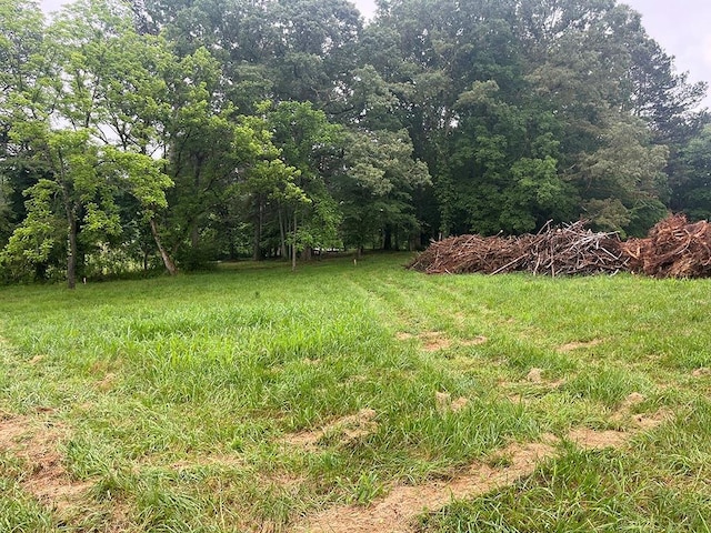 view of yard featuring a forest view