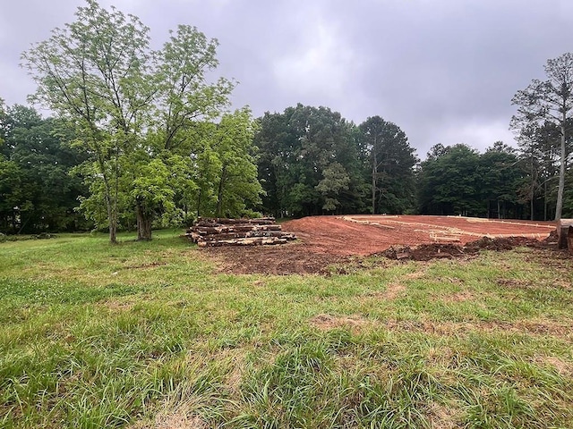view of yard with a wooded view