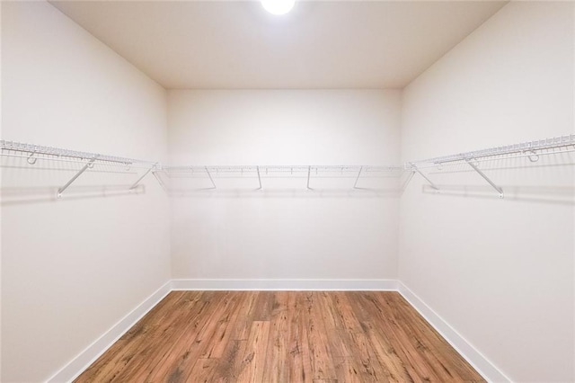 walk in closet with wood finished floors