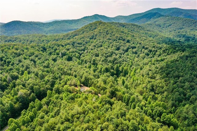 Listing photo 3 for 0 Flagpole Cir, Ellijay GA 30540