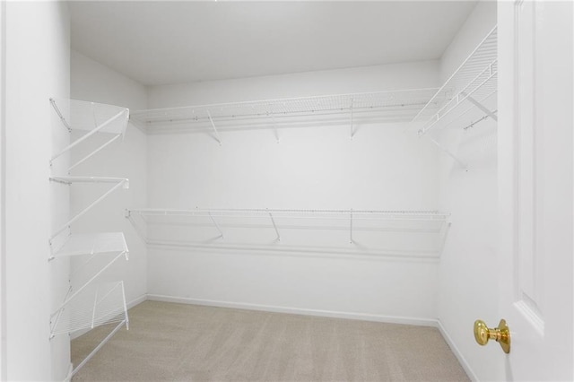 walk in closet featuring light carpet