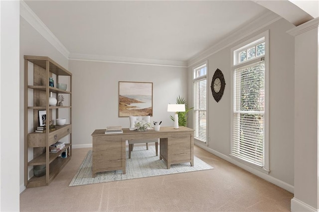 office space with light carpet, crown molding, and baseboards