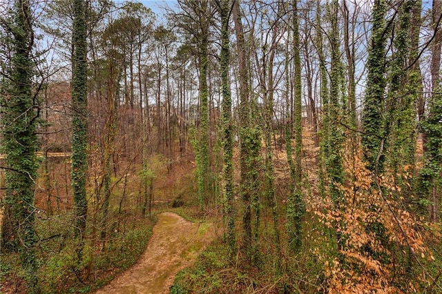 view of nature with a wooded view