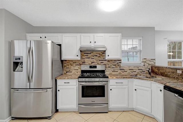 kitchen featuring a sink, plenty of natural light, under cabinet range hood, and stainless steel appliances