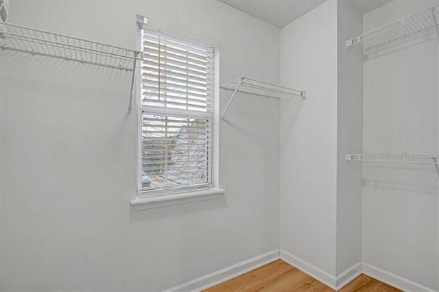 spacious closet with light wood-style flooring