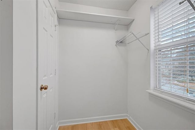 spacious closet featuring light wood-style floors