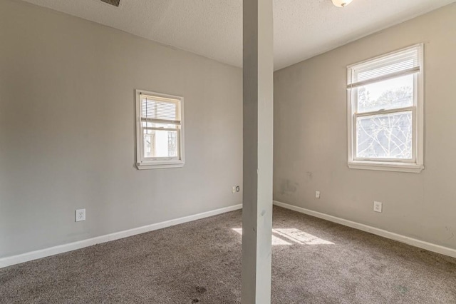 spare room with carpet flooring and a textured ceiling