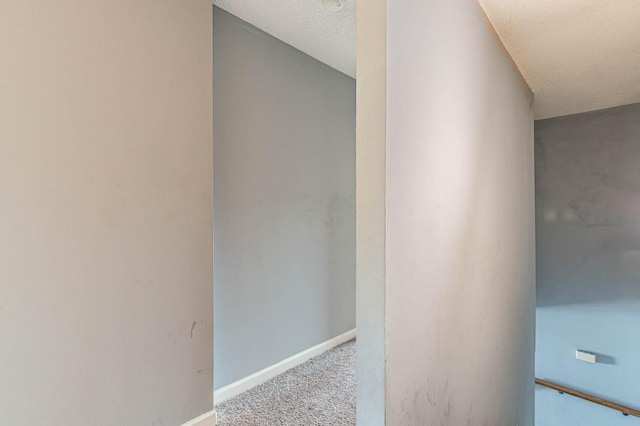 staircase featuring a textured ceiling and carpet floors