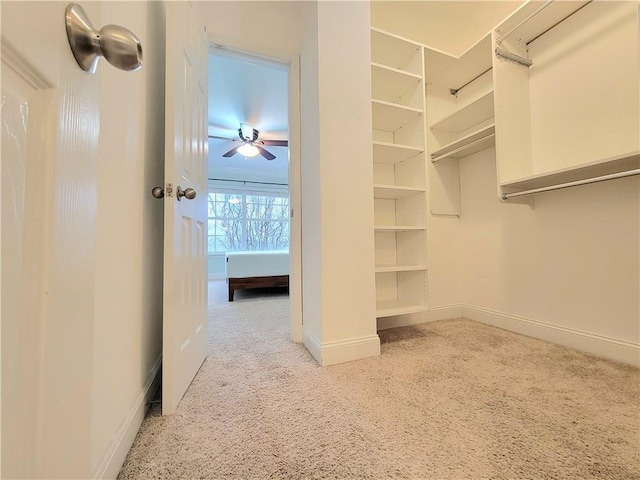 walk in closet with ceiling fan and carpet