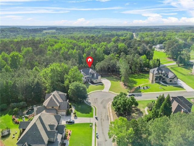 aerial view of a forest