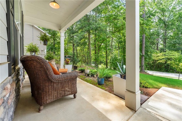 view of patio / terrace with a porch