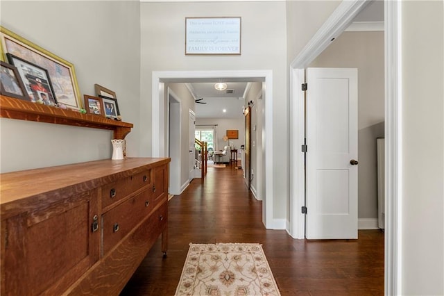 corridor featuring dark wood-type flooring