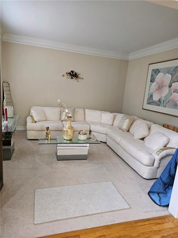 living room with ornamental molding and wood-type flooring