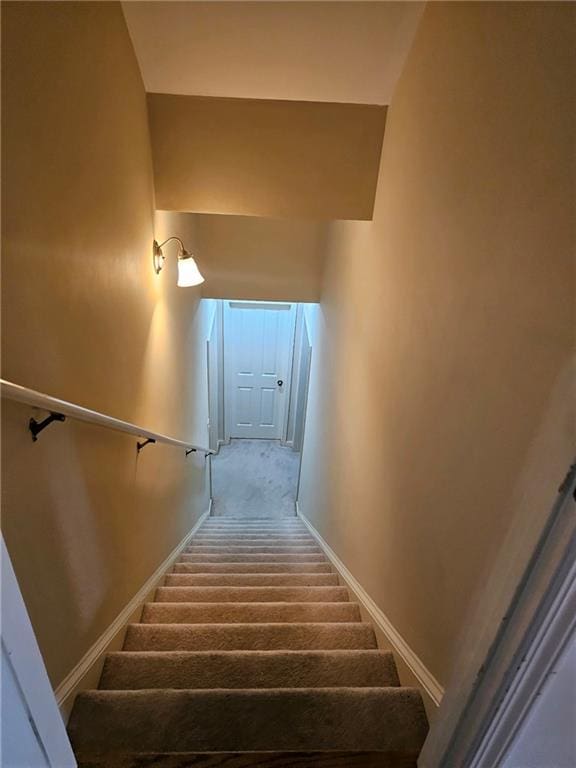 staircase featuring carpet flooring